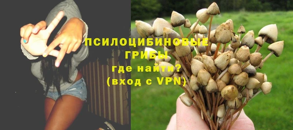 2c-b Алексин