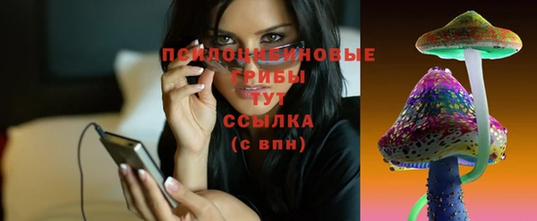 дурь Алзамай