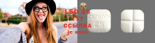 дурь Алзамай