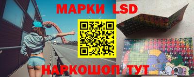PSILOCYBIN Бугуруслан