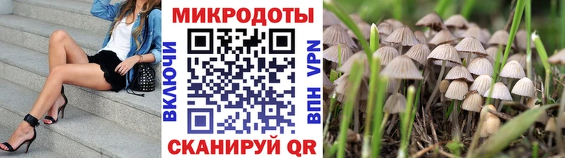 Галлюциногенные грибы Magic Shrooms  Апрелевка 