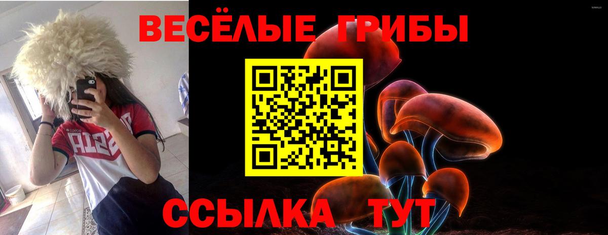 Галлюциногенные грибы Psilocybine cubensis Апрелевка